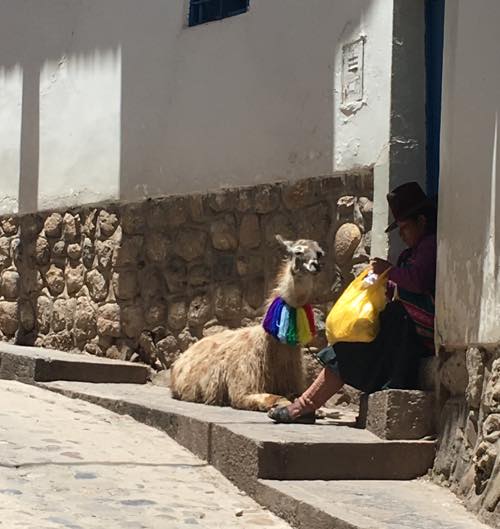 cusco que ver y hacer