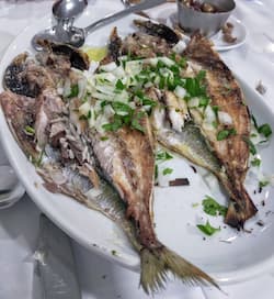 matosinhos en oporto marisco