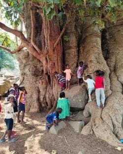 pueblo iwol pais barrasi