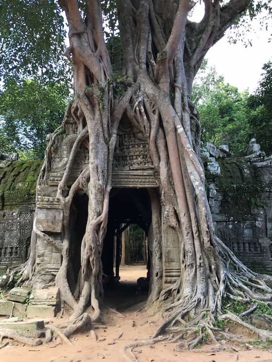 ta som tenplo camboya