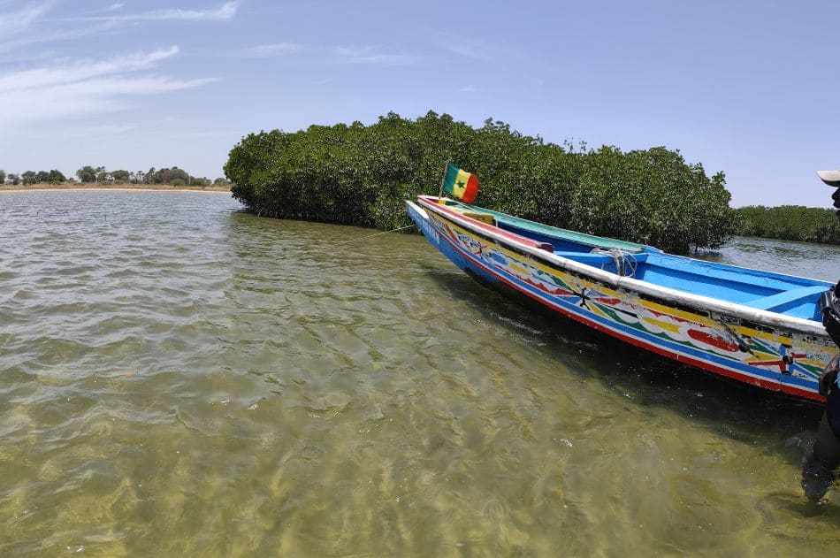 viajar a pais bassari senegal low cost